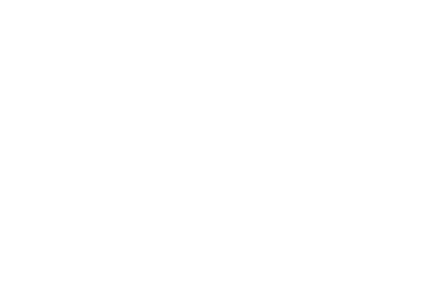 SE Certification