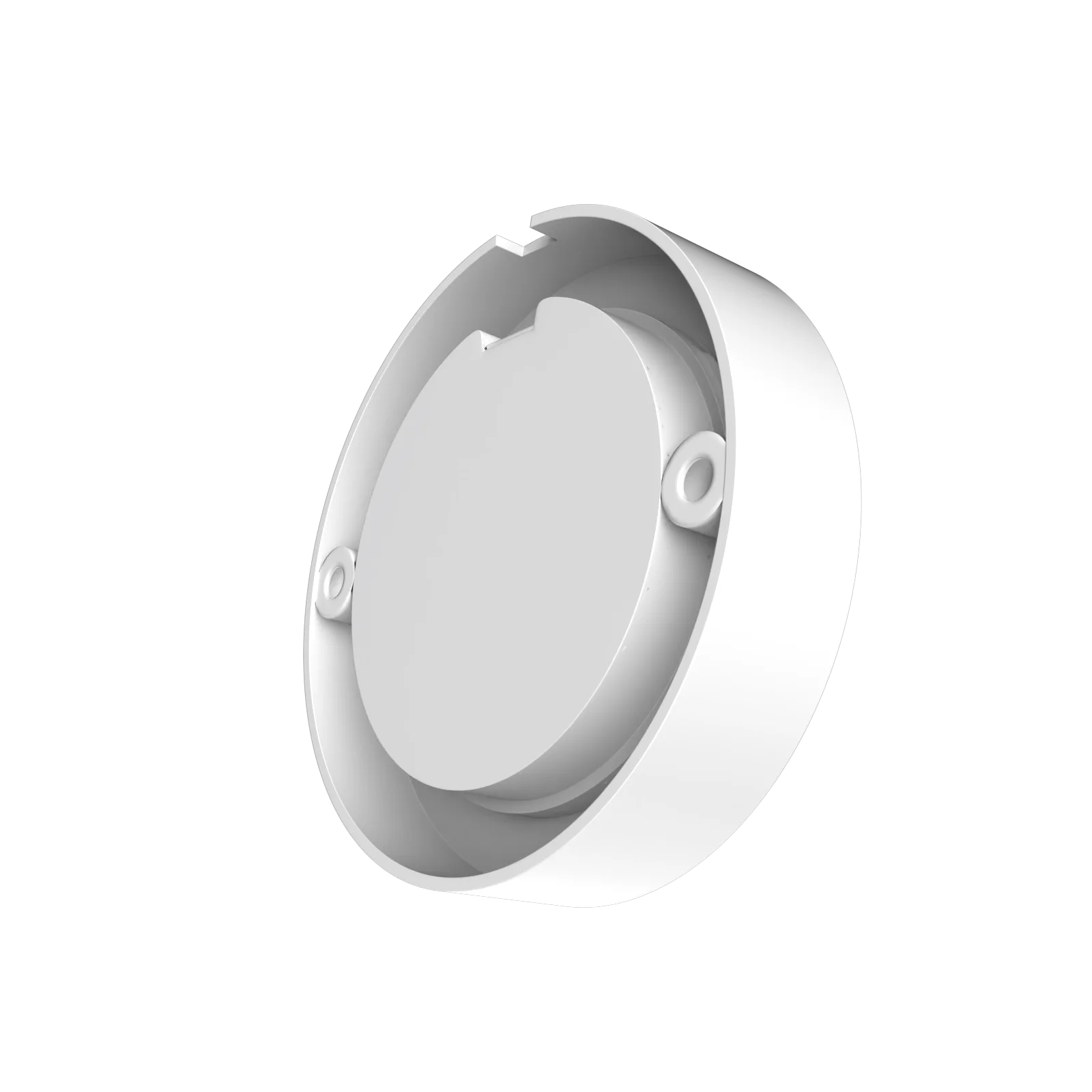 Zest Stricker Surface Light