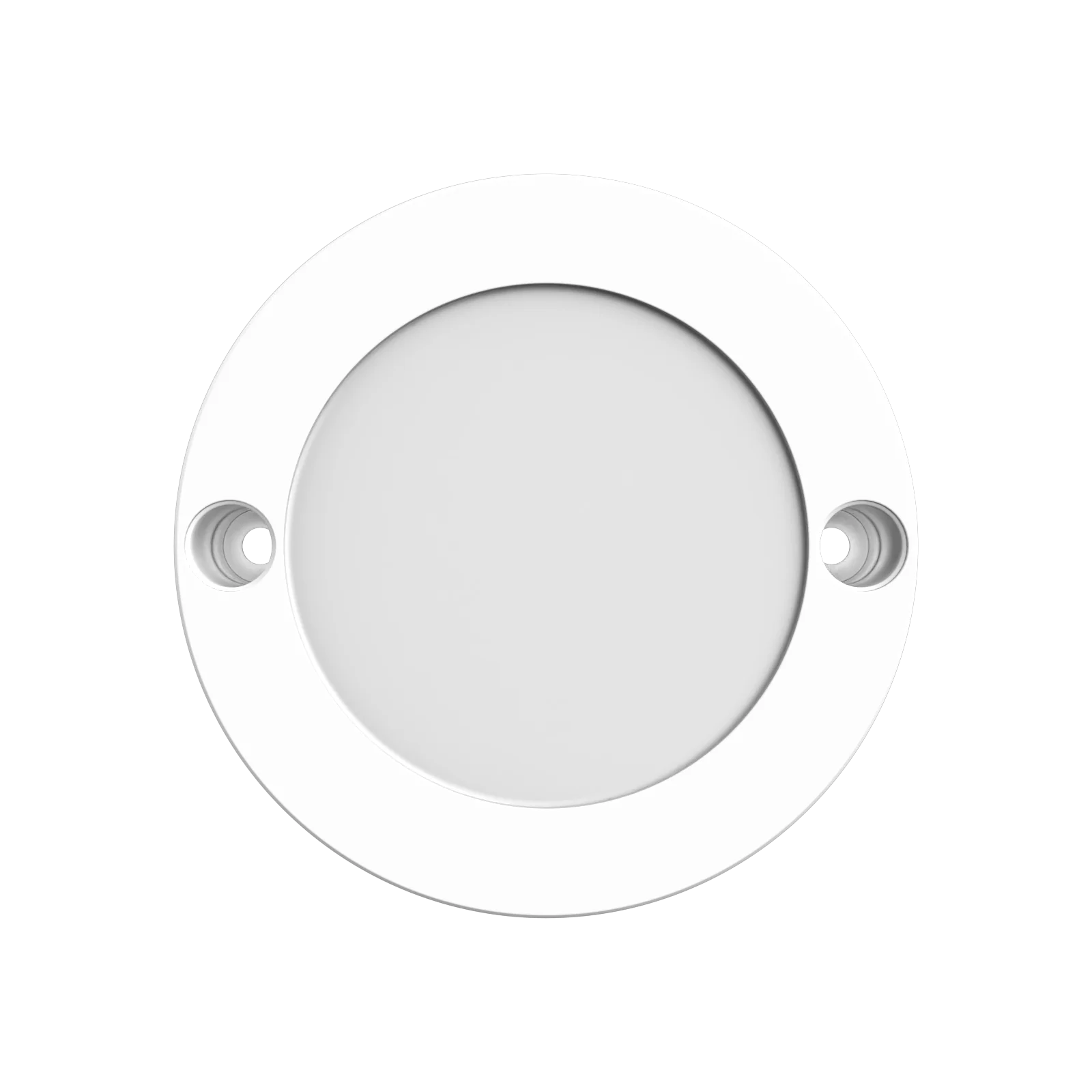 Zest Stricker Surface Light
