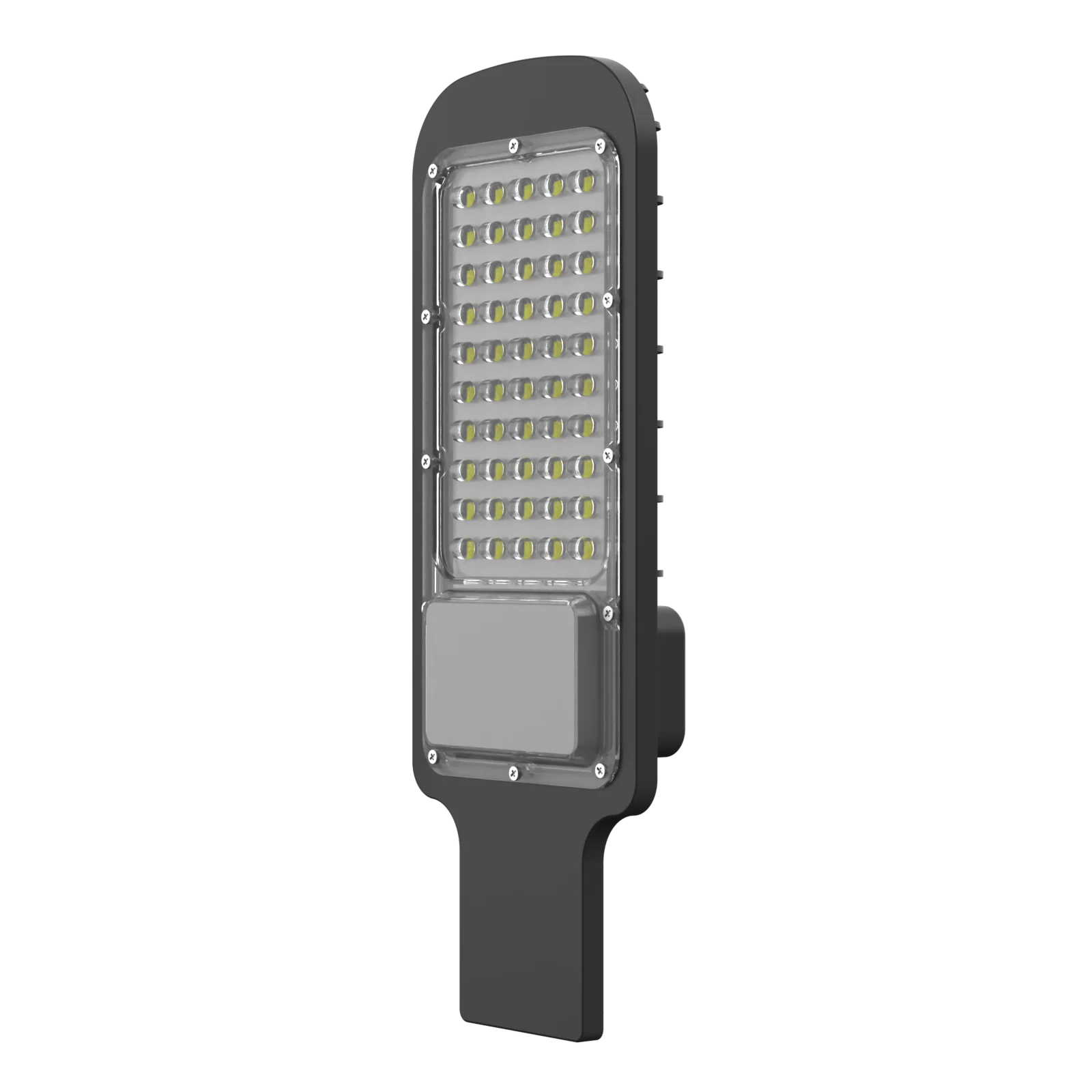 Oval Street Light (20W-100W)